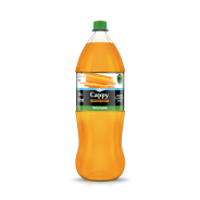Cappy Burst Org 2L 01X08 (RPET)