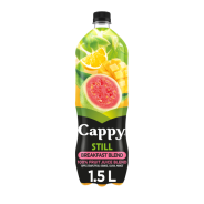 Cappy Break Blen 1.5L 01X12 (PET)