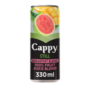 Cappy Break Blen 330ML 04X06 (CAN)